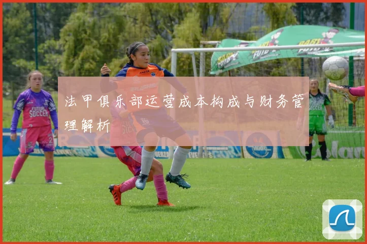 法甲俱乐部运营成本构成与财务管理解析