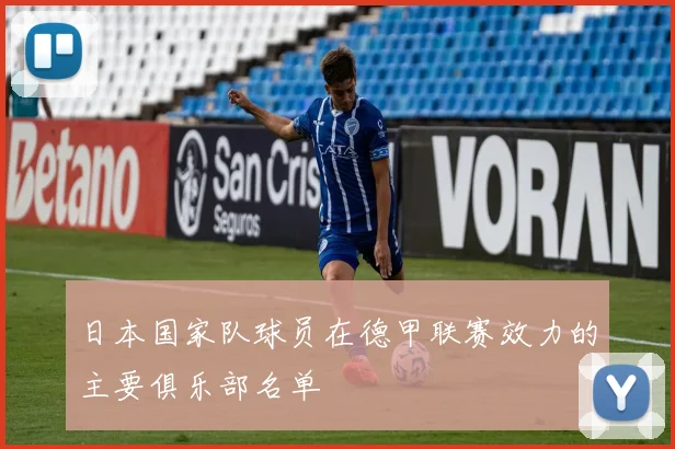 日本国家队球员在德甲联赛效力的主要俱乐部名单