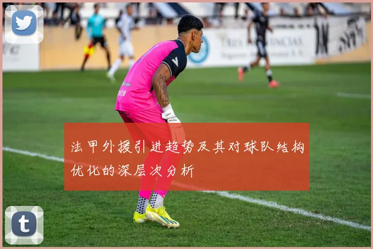 法甲外援引进趋势及其对球队结构优化的深层次分析