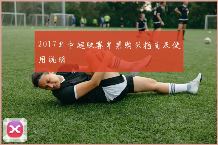 2017年中超联赛年票购买指南及使用说明