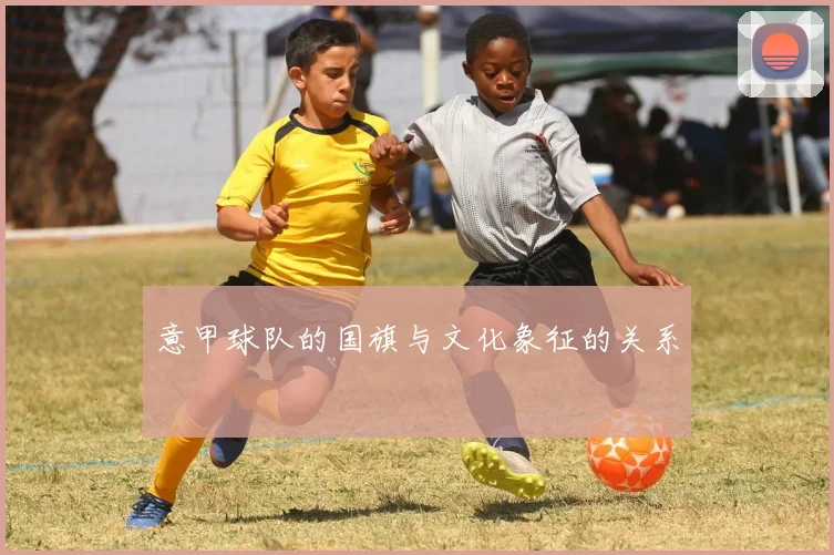 意甲球队的国旗与文化象征的关系