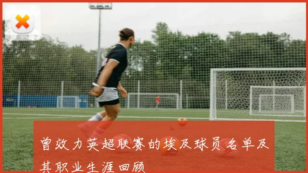 曾效力英超联赛的埃及球员名单及其职业生涯回顾